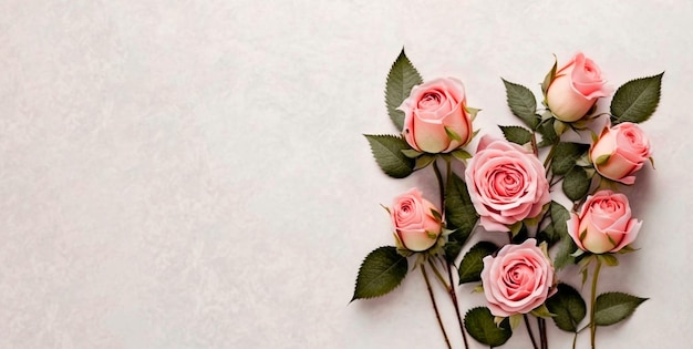 白地にピンクのバラの花の花束。
