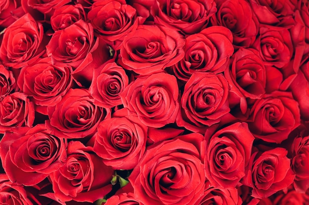 Bouquet of pink roses. Close-up, top view.