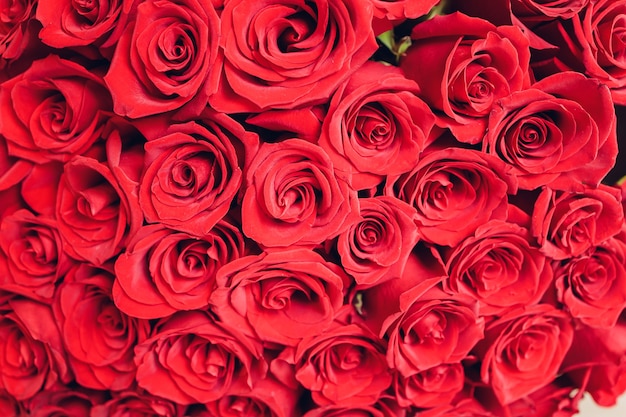 Bouquet of pink roses. Close-up, top view.