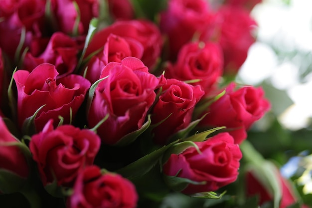 bouquet of pink roses close up