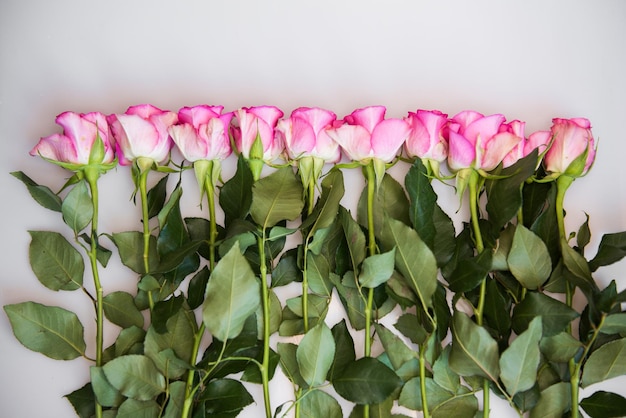 白い背景の花の背景にピンクのバラの花束母の日の結婚式と誕生日のコンセプト