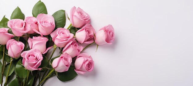 Photo bouquet of pink roses on the white background