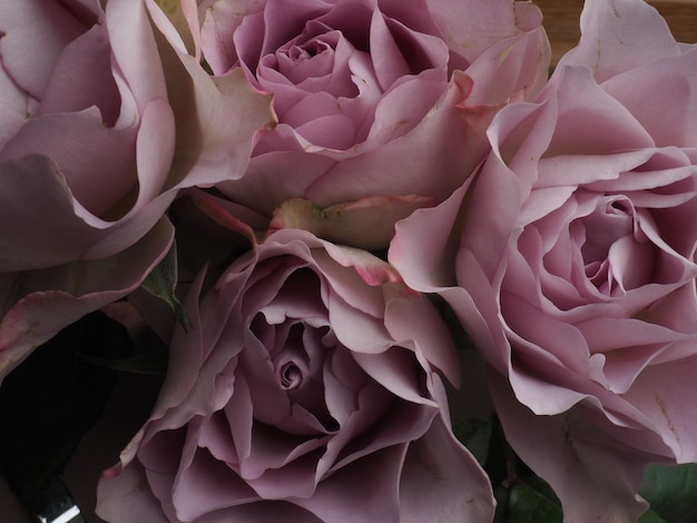 A bouquet of pink roses with one of the roses in the center.