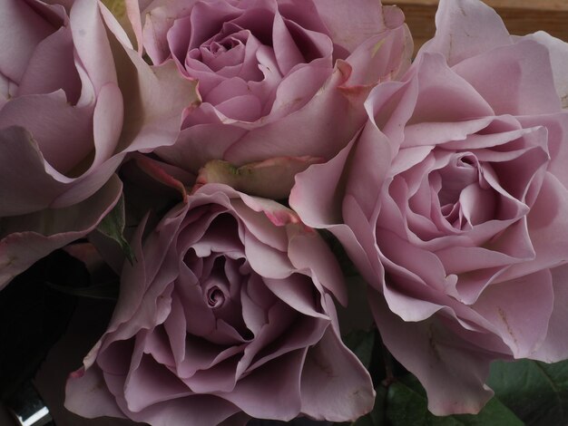 A bouquet of pink roses with the word love on it.