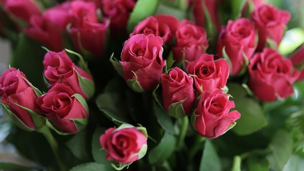 Bouquet of pink roses