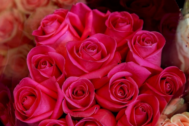 Photo bouquet of pink roses.