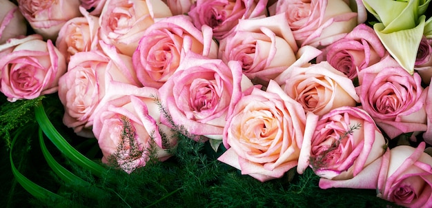 Bouquet of pink roses