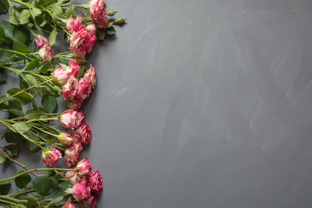 Bouquet of pink spotted bush roses on gray 