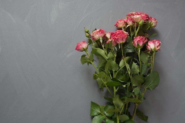 Bouquet of pink spotted bush roses on gray 