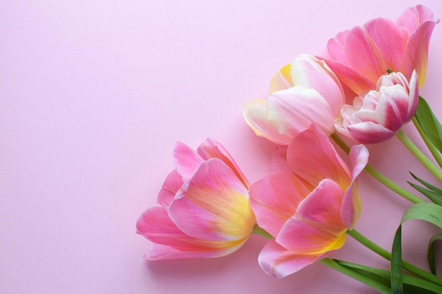 Foto bouquet di tulipani rosa primaverili e posto per il testo per la giornata delle madri o delle donne su uno sfondo rosa