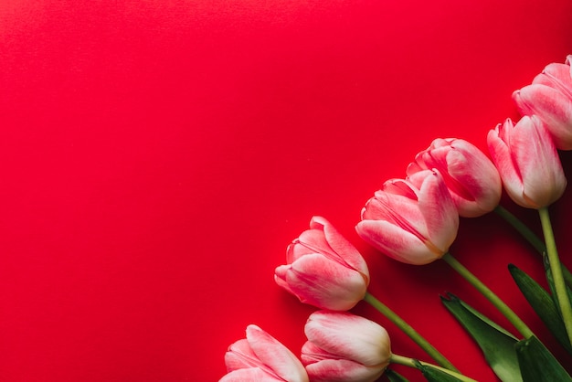 Bouquet of pink tulip flowers