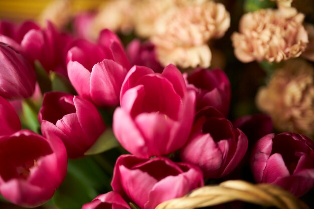 Bouquet di tulipani rosa vicino a fuoco morbido