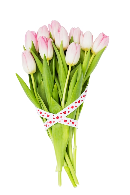 Bouquet of pink tulips decorated with ribbon isolated over white background. 