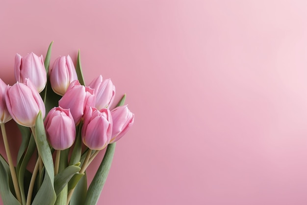 Bouquet of pink tulips flowers on pastel pink background