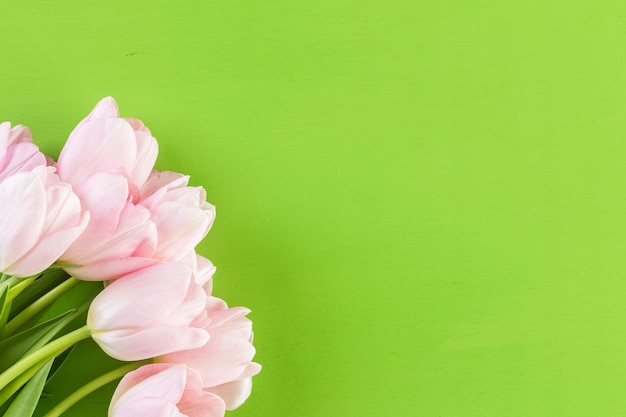 Bouquet of pink tulips on a green background.