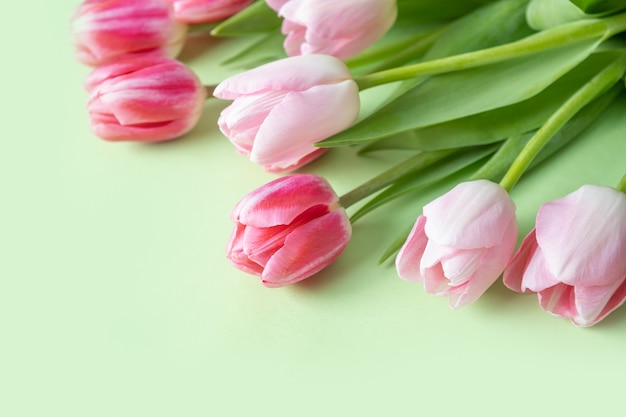 Bouquet of pink tulips on green surface