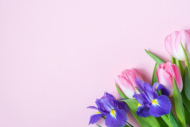 Foto bouquet di tulipani e irisi rosa su sfondo rosa cartellino di auguri per il giorno delle madri giorno delle donne