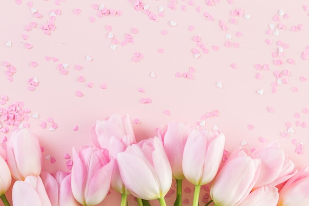 Photo bouquet of pink tulips on a pink background.