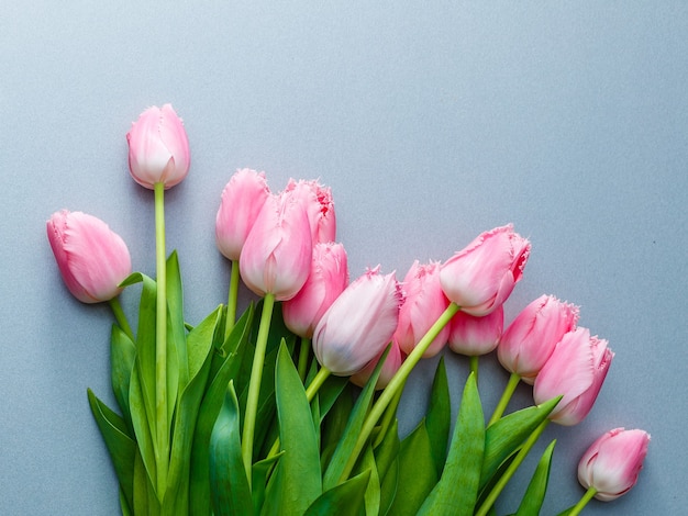 A bouquet of pink tulips on the table for International Women's Day