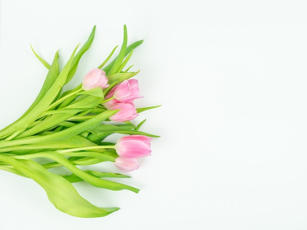 Bouquet of pink tulips on a white background. Spring concept.