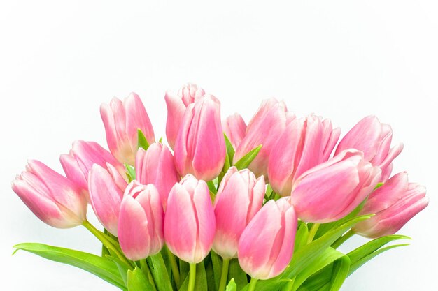 Bouquet of pink tulips on a white background Valentines Day Easter Mothers day Wedding