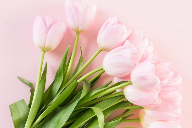 Bouquet of pink tulips wrappen in pink paper.