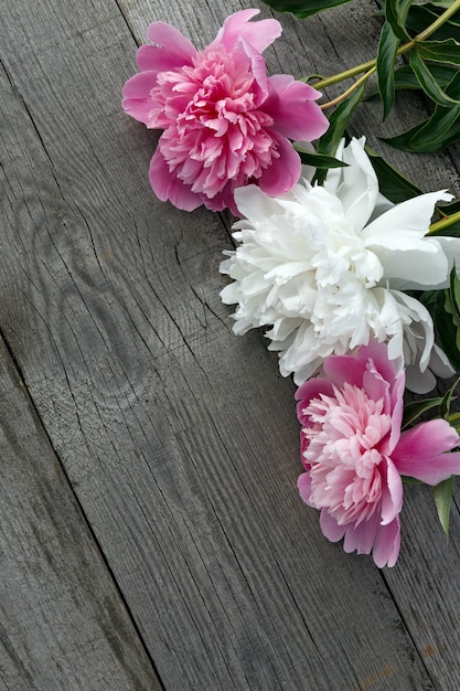 古い板の表面にピンクと白に咲く牡丹の花の花束。