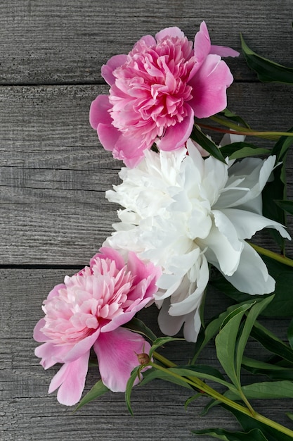 Букет из розовых и белых цветущих пионов