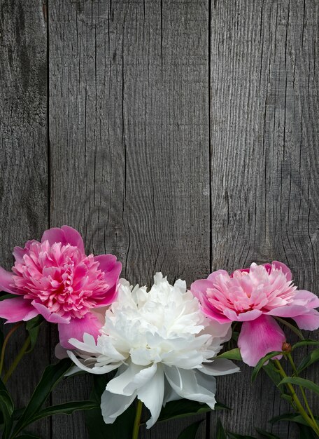 ピンクと白の咲く牡丹の花の花束