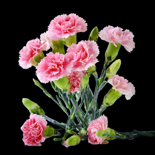 a bouquet of pink and white flowers with green leaves