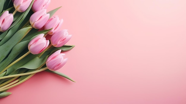 Bouquet of pink and white tulips on a pink background Flat lay copy space