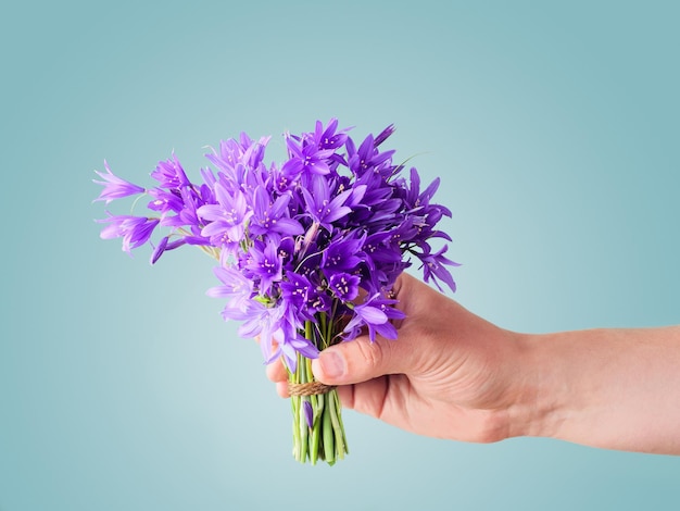 Bouquet di fiori di campanula viola in una mano maschile