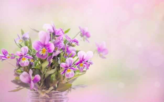 Bouquet of purple flowers on a pink background closeup Soft selective focus