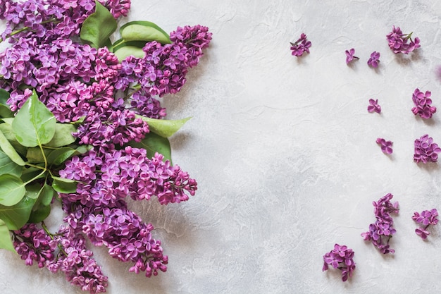 Bouquet of purple lilac flowers with space for text in top view