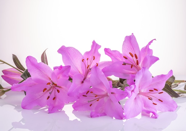 Bouquet of purple lilies on the white with reflection.