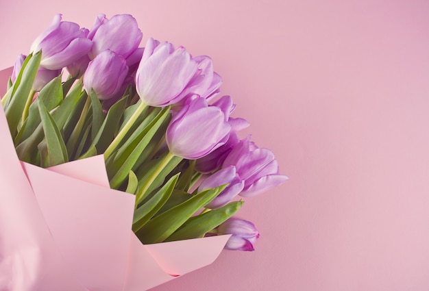 Bouquet of purple tulips on the pink background. Copy space.