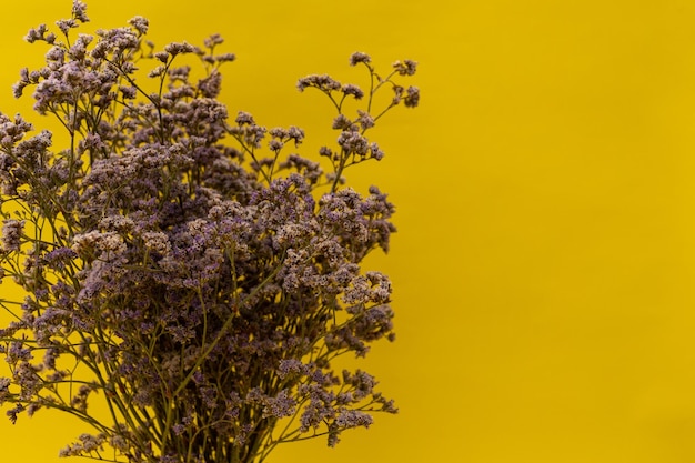 Bouquet of purple wildflowers