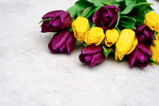 보라색과 노란색 봄 튤립 꽃의 꽃다발