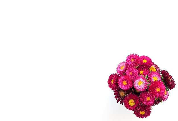 Photo bouquet of red chrysanthemums against white background