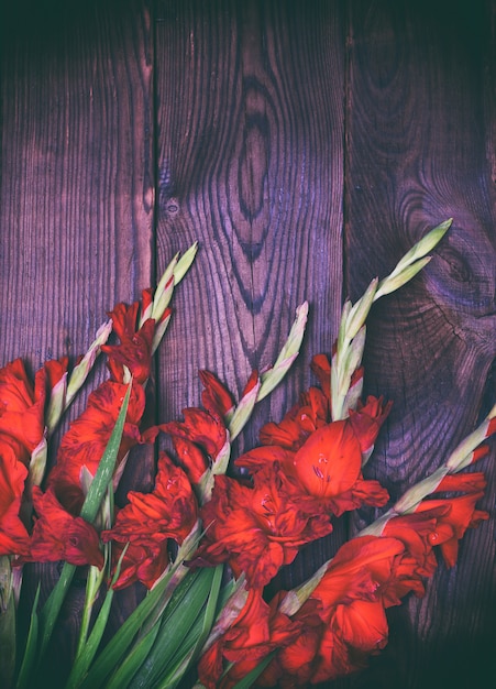 Bouquet of red gladiolus 