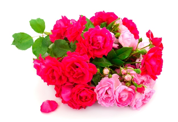 Bouquet of red and pink roses