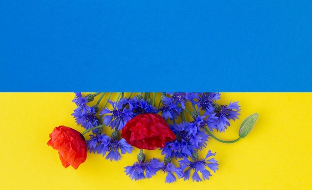 Bouquet of red poppies and blue cornflowers on the colored background Copy space