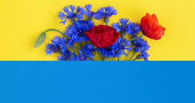 Bouquet of red poppies and blue cornflowers on the colored background Copy space