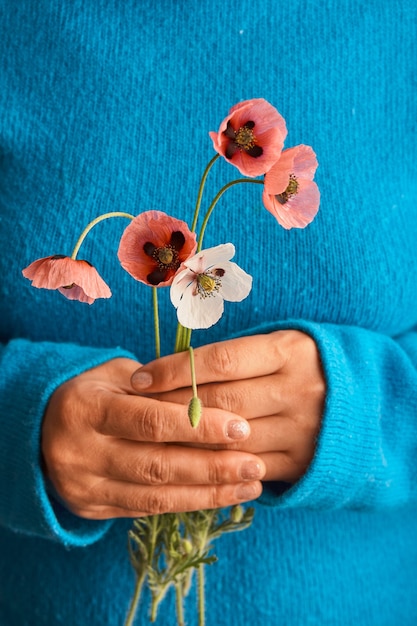 青いセーターの女の子の手に赤いポピーの花束。