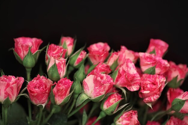 Букет красных роз на черном матовом фоне