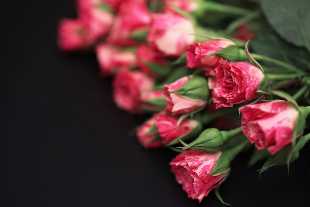 Bouquet of red roses on black matte background