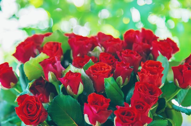 Bouquet of red roses, a gift. Selective focus.