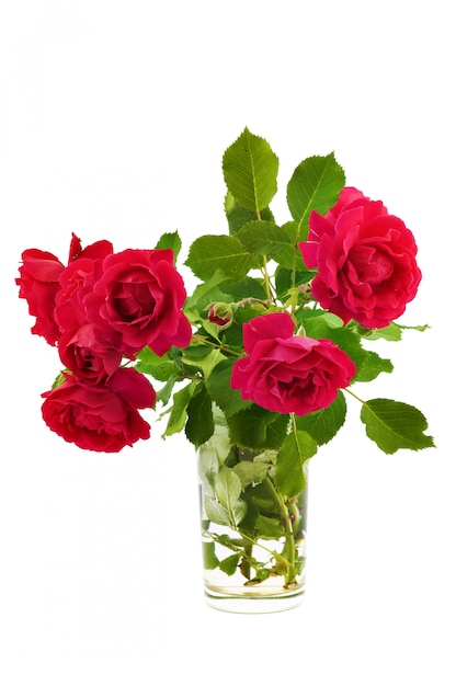 Bouquet of red roses in a glass