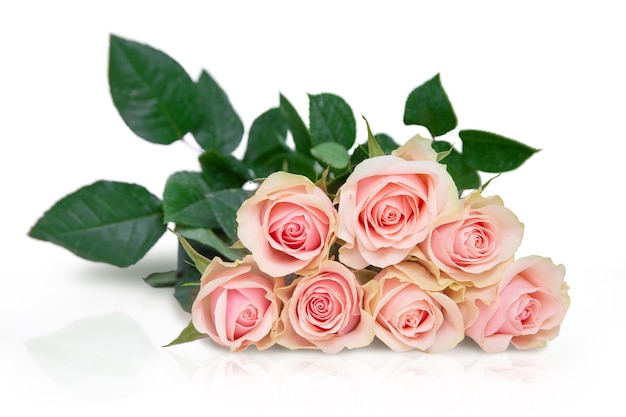 bouquet of red roses isolate on a white background