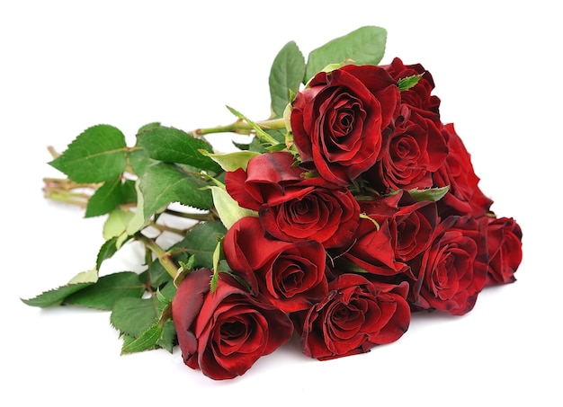 Bouquet of red roses on a white background